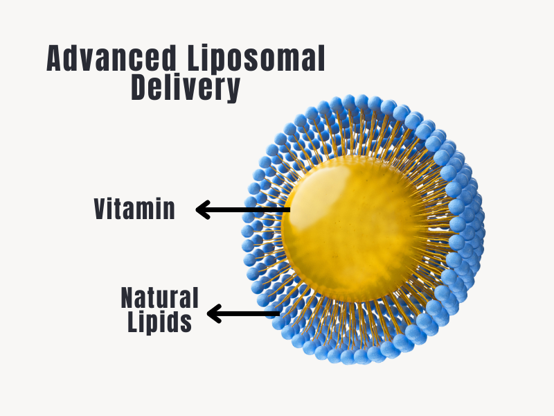 Liposomal Delivery